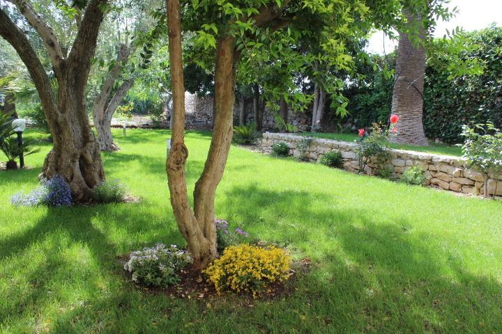 Appartamento Le Tre Palme Frigintini Pokój zdjęcie