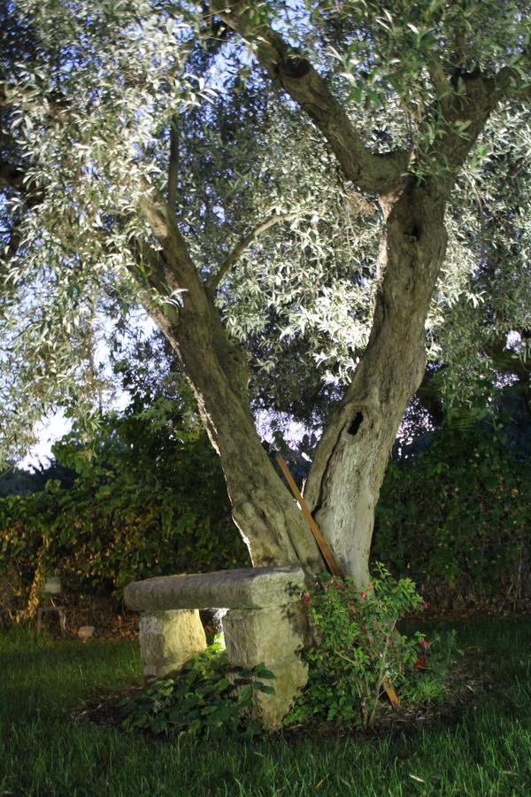 Appartamento Le Tre Palme Frigintini Zewnętrze zdjęcie